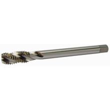 Macho Maq M 16,0 X 2,00Mm - H.F. - C.H. -