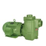 motobomba-schneider-bca41_z_large
