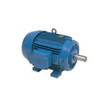 motor-weg-3cv-2polos_z_large