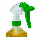 agente-de-limpeza-walter-e-nox-clean-500ml_01