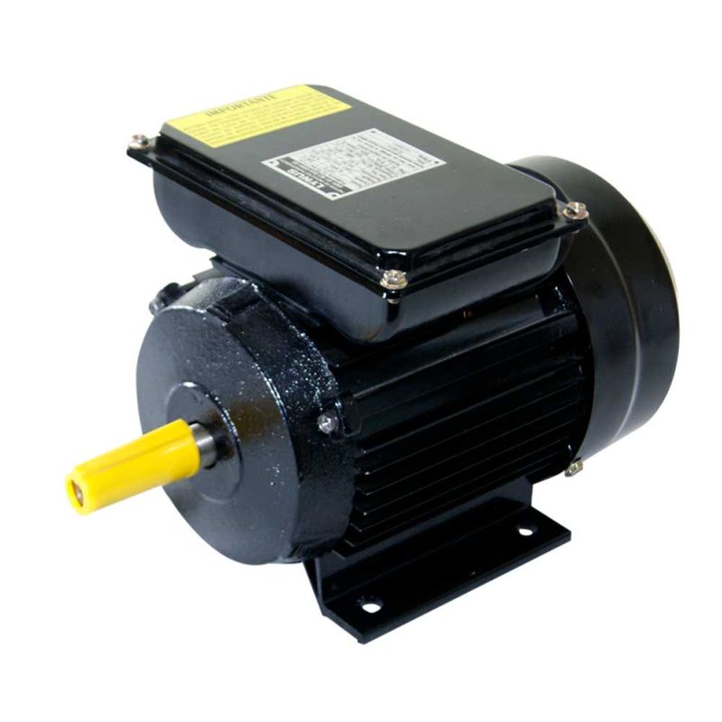 motor-eletrico-2cv-2p-ip44-lynus-bivolt_01