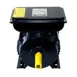 motor-eletrico-2cv-2p-ip44-lynus-bivolt_03