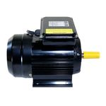 motor-eletrico-2cv-2p-ip44-lynus-bivolt_04