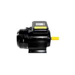 motor-eletrico-3cv-4p-ip45-yl100l1-4-lynus-bivolt_01
