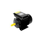 motor-eletrico-3cv-4p-ip45-yl100l1-4-lynus-bivolt
