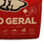 cimento-uso-geral-caue-cpiv-32-rs_03