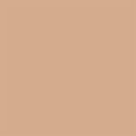 tinta-acrilica-fosca-coralar-mais-desempenho-coral-camurca-3-6_02