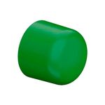 cap-ppr-verde-tigre