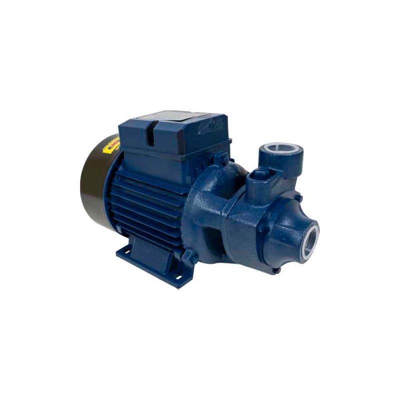 motobomba-agua-periferica-1cv-ics-100ab-eletroplas