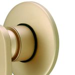 acabamento-de-monocomando-chuveiro-34-meber-dourado-matte_03