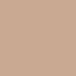 tinta-acrilica-fosca-coralar-mais-resistente-coral-camurca36_03