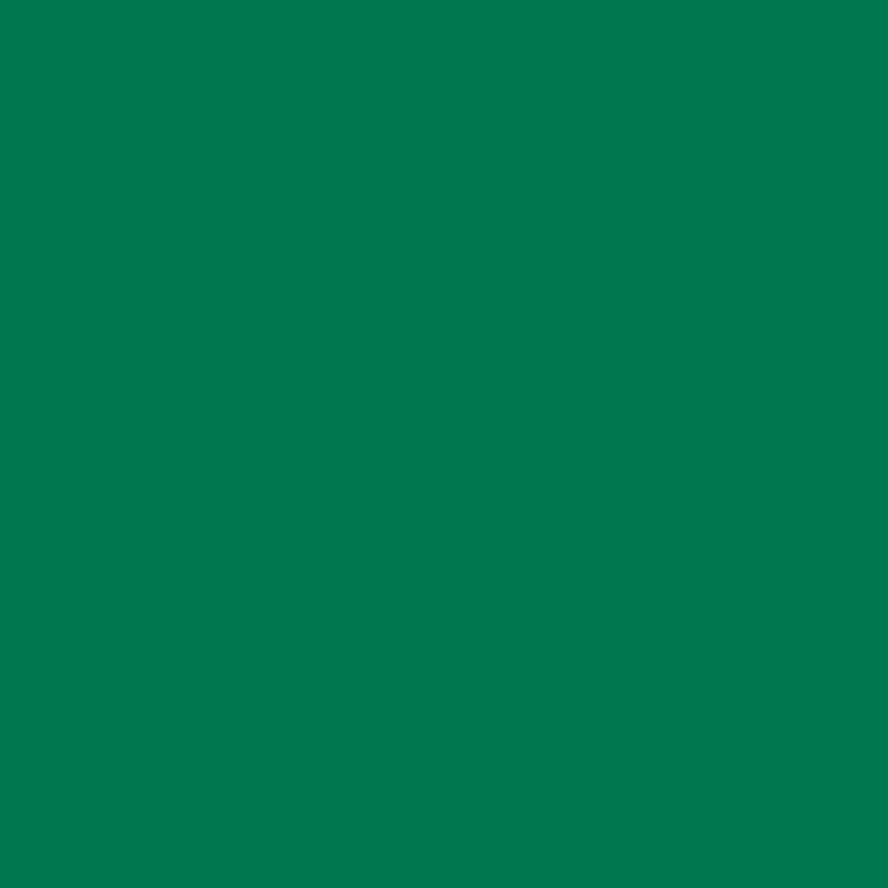tinta-acrilica-fosca-piso-novopiso-hydronorth-verde36_03