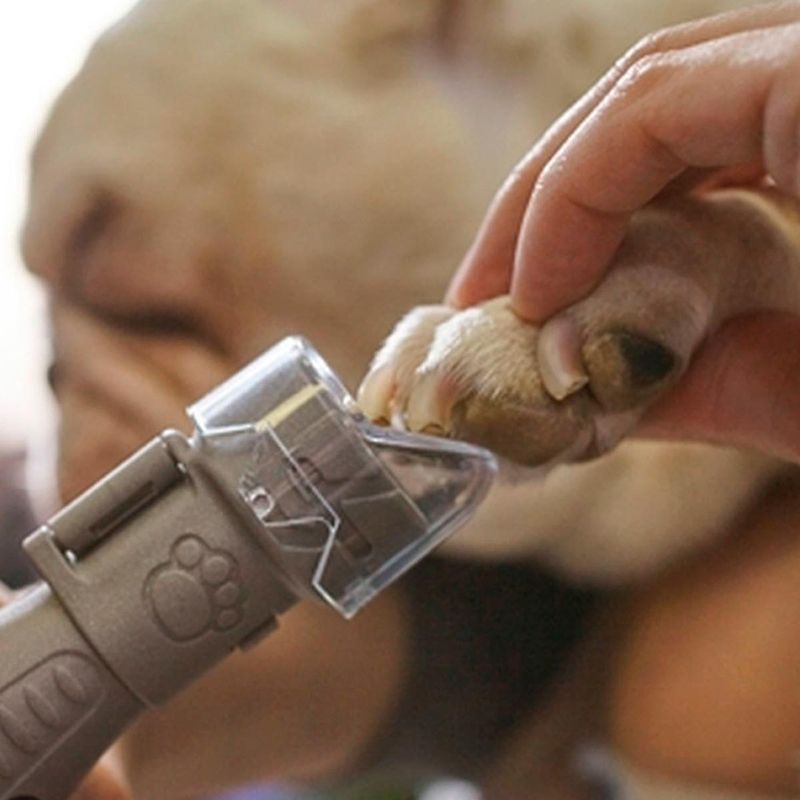 guia-de-protecao-para-lixar-unhas-de-pet-dremel_05