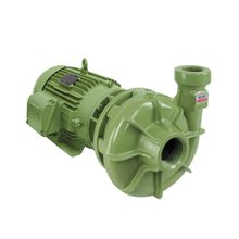 Motobomba Centrífuga 1,5Cv BC-21 R1 1/4" Schneider Trifásica