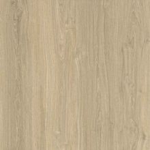 Piso Cerâmico Concórdia Acetinado Bold Pisoforte
