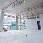 nivel-laser-bosch-gpl5_06.jpg