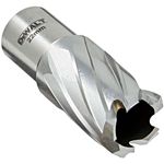 broca-anular-weldon-22-x-30mm-dt8404-xj-dewalt
